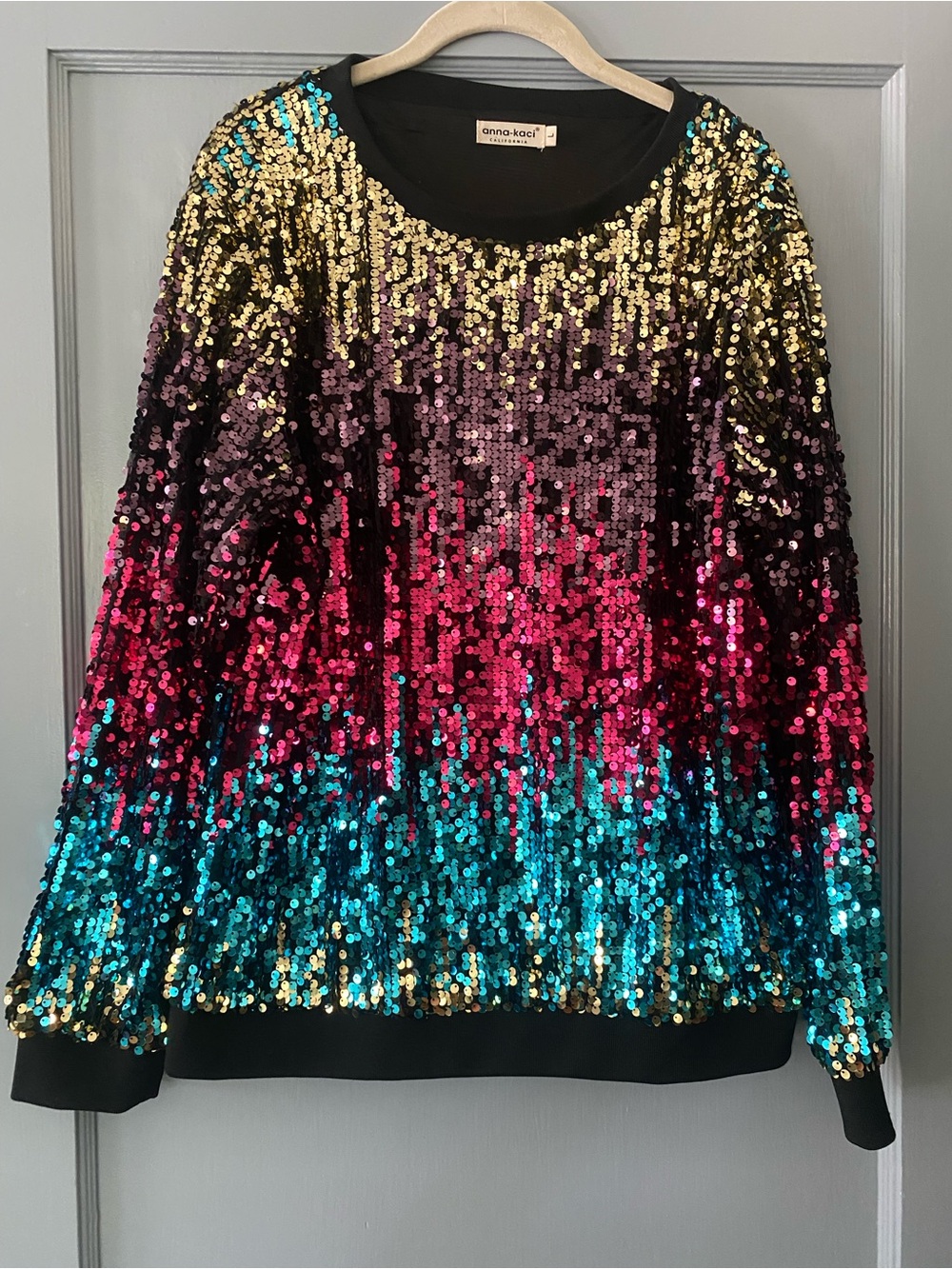 Anna-Kaci Multicolor Sequin Sweatshirt